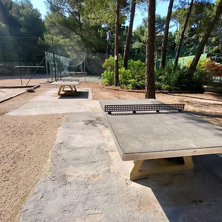T2 Avec Wi-fi Et Parking A 200 M Des Plages - Fr-1-316-342 锡富尔勒普拉日
