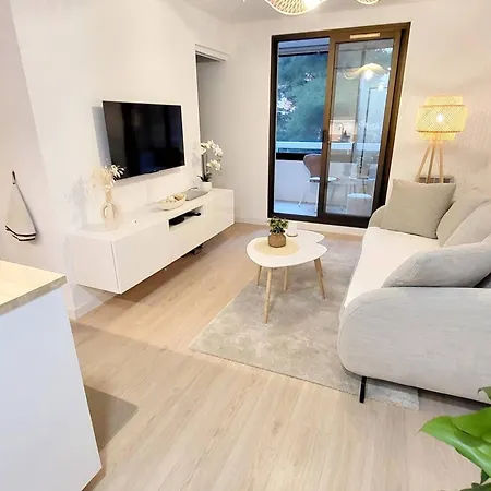 T2 Avec Wi-fi Et Parking A 200 M Des Plages - Fr-1-316-342 *